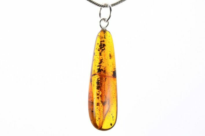 Polished Baltic Amber Pendant (Necklace) - Contains Beetles! #273472